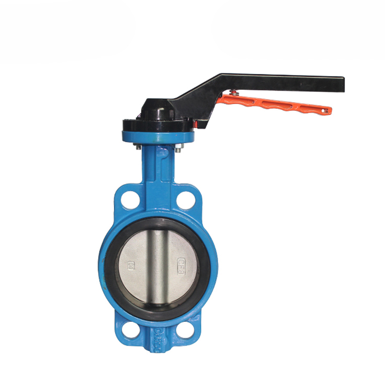 手動(dòng)鑄鐵對(duì)夾式蝶閥